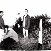 Curtains - List pictures