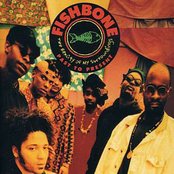 Fishbone - List pictures