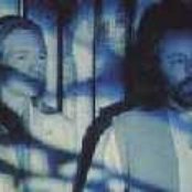 Deep Forest - List pictures