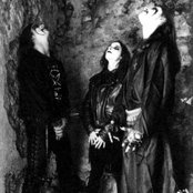 Evol - List pictures