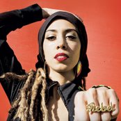 Blue King Brown - List pictures