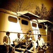 Lovebugs - List pictures