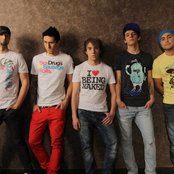 Rotten Bark - List pictures