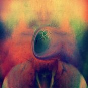 Young Magic - List pictures