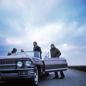 Caviar - List pictures