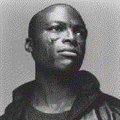 Seal - List pictures