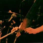 Horse Feathers - List pictures