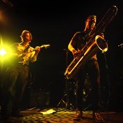 Fond Of Tigers - List pictures