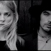 The Common Linnets - List pictures