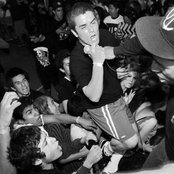 Dynasty - List pictures