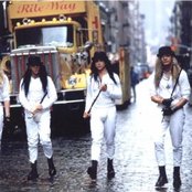 Tigertailz - List pictures