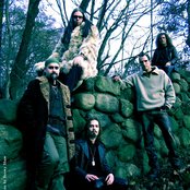 Falconer - List pictures