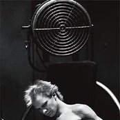 Sting - List pictures