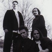 Gossamer - List pictures