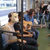 Miniature Tigers - List pictures