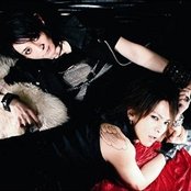 Vamps - List pictures