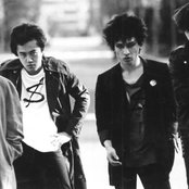 Stalin - List pictures