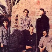 Virus - List pictures