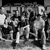 Groundation - List pictures