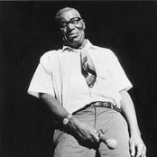 Howlin' Wolf - List pictures