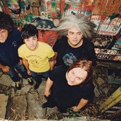 The Melvins - List pictures
