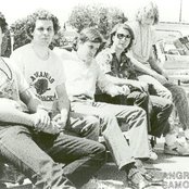 Angry Samoans - List pictures