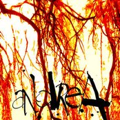 Andrea - List pictures