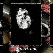 Zavorash - List pictures