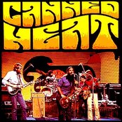 Canned Heat - List pictures
