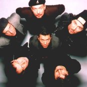 Spider Murphy Gang - List pictures