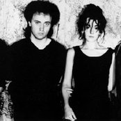 The Cranes - List pictures