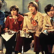 Monkeys - List pictures