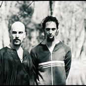 Dead Soul Tribe - List pictures