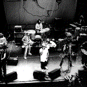 The Roots - List pictures