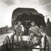 Husky - List pictures