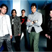 Orgy - List pictures