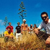 Jamaram - List pictures