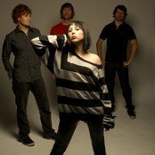 Little Birdy - List pictures