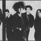 The Telescopes - List pictures