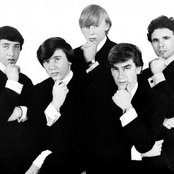Easybeats - List pictures