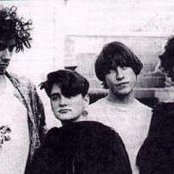 Snakepit - List pictures