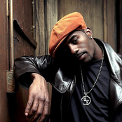 Loon - List pictures