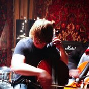 A Giant Dog - List pictures