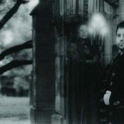 Avrigus - List pictures