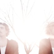 Reptile Youth - List pictures