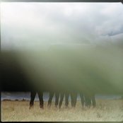 Los Campesinos! - List pictures