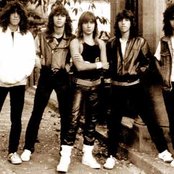 Viper - List pictures