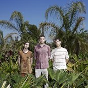 Lemonade - List pictures