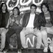 Flemita - List pictures