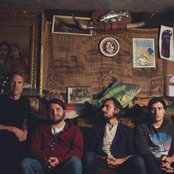 The Lonely Forest - List pictures